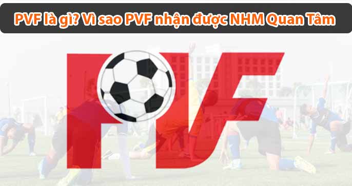 PVF là gì? Liệu có đang khiến bóng đá Việt Nam "phát sốt"?