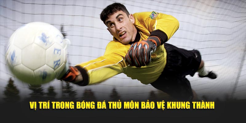 Vị trí trong bóng đá - Hiểu vai trò của từng cầu thủ