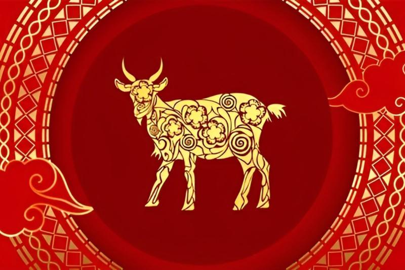 Những con số may mắn trong năm Mùi là gì? Những con số may mắn trong năm Mùi là gì?