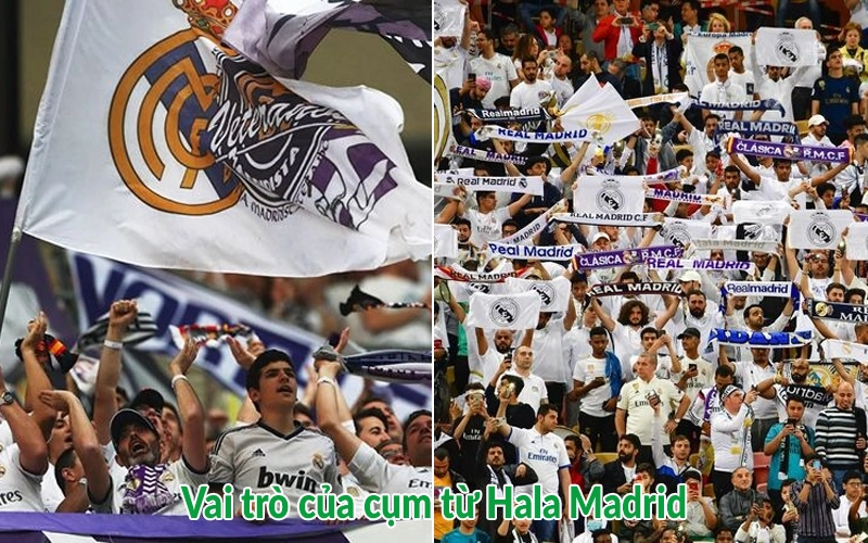 Hala Madrid là gì? Nguồn gốc và ý nghĩa của khẩu hiệu 2025