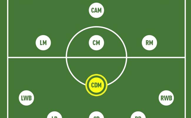Đội hình 4-2-3-1: Vị trí và cách làm việc hiệu quả