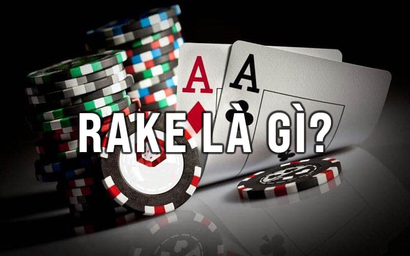 Rake là gì? Nó ảnh hưởng đến người chơi poker như thế nào?