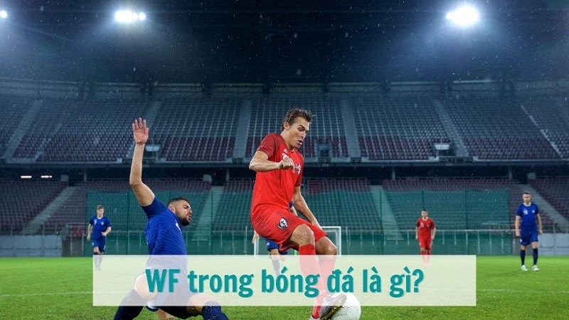 WF trong bóng đá là gì? Vai trò và đặc điểm