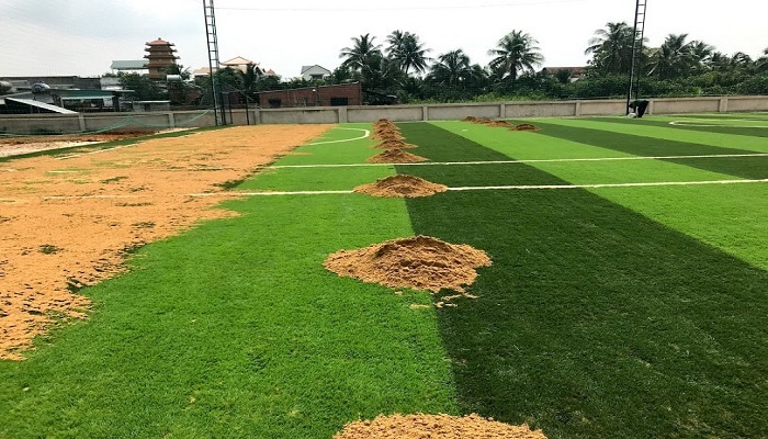 Cỏ sân bóng là cỏ gì? Mua cỏ sân bóng ở đâu uy tín?