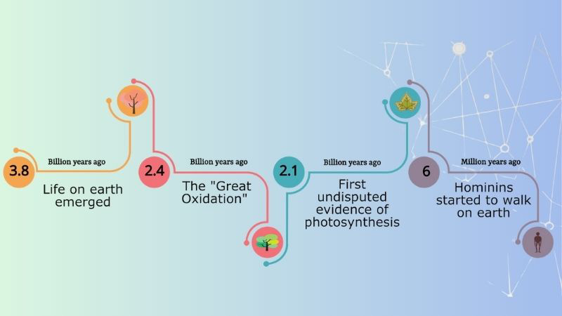 Hoàn thiện timeline chuyên nghiệp