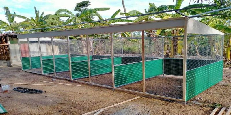 Lập kế hoạch làm chuồng gà khoa học