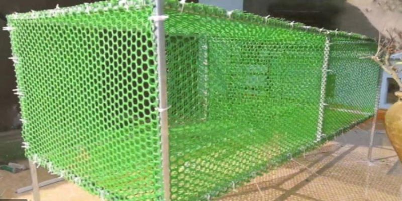 Diện tích chuồng gà cần đủ rộng cho gà di chuyển